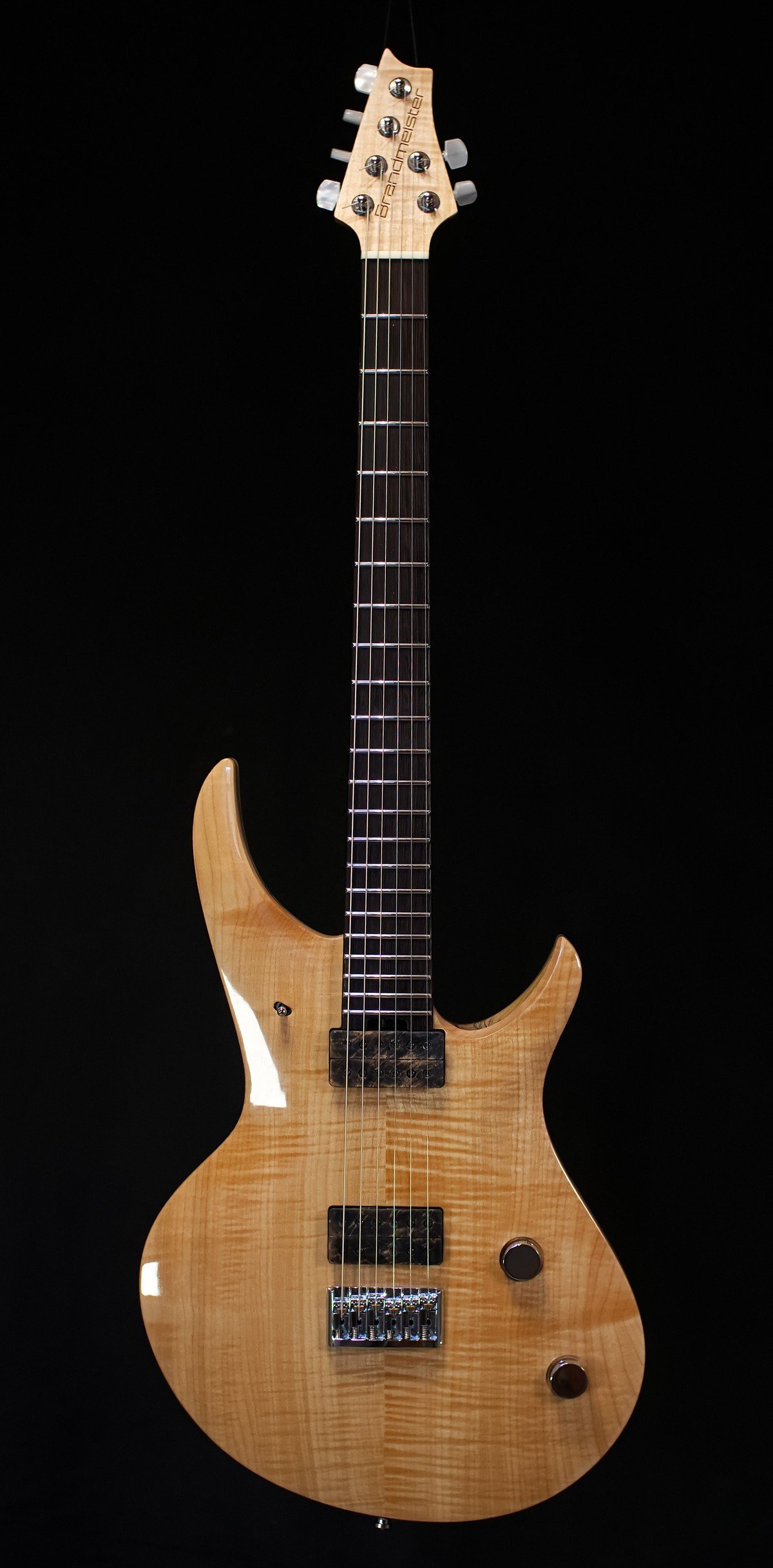 Brandmeister Handcrafted Custom Guitar